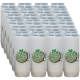 Set 24 candele albe cu ulei 6 zile pentru cimitir ZO6 Memoryflame 380 g Zniczplast